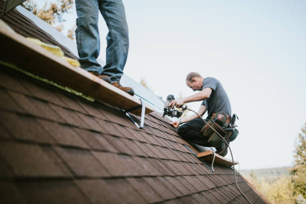Best Roof Gutter Cleaning  in Lliams Bay, WI